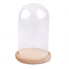 Clear Glass Dome  Cloche Bell Jar W/ Wooden Base DIY Flower Preservation Decor    263191649575